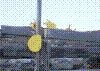 ForsteSol07.jpg