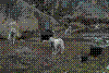 Sisimiut-09.jpg