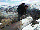 Akul09.jpg