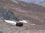 mb10.jpg