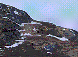 mb11.jpg