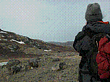 mb12.jpg