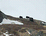 mb14.jpg
