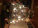 jul 2005 03.JPG