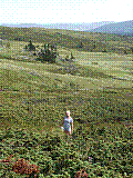 Ferie06Norge07.jpg