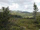 Ferie06Norge45.jpg