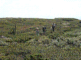 Ferie06Norge51.jpg