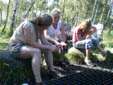 TueSolvej06.jpg